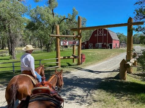 Dude Ranch: Phiêu Lưu Trong Bối Cảnh Nông Trại Hoang Dã và Những Cuộc Tình Yêu Đầy Hào Sảng!